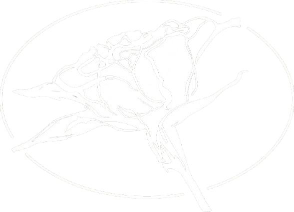 Le Rose di Sharon Logo